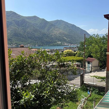 Themis Apart Hotel Kotor Zewnętrze zdjęcie