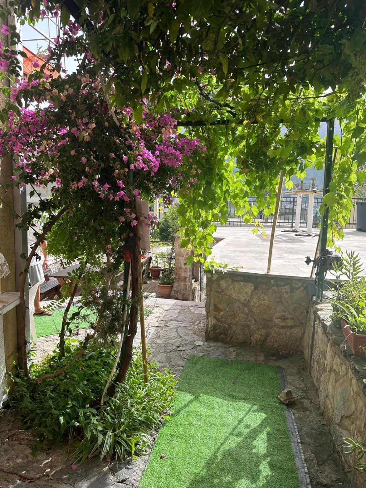 Themis Apart Hotel Kotor Zewnętrze zdjęcie