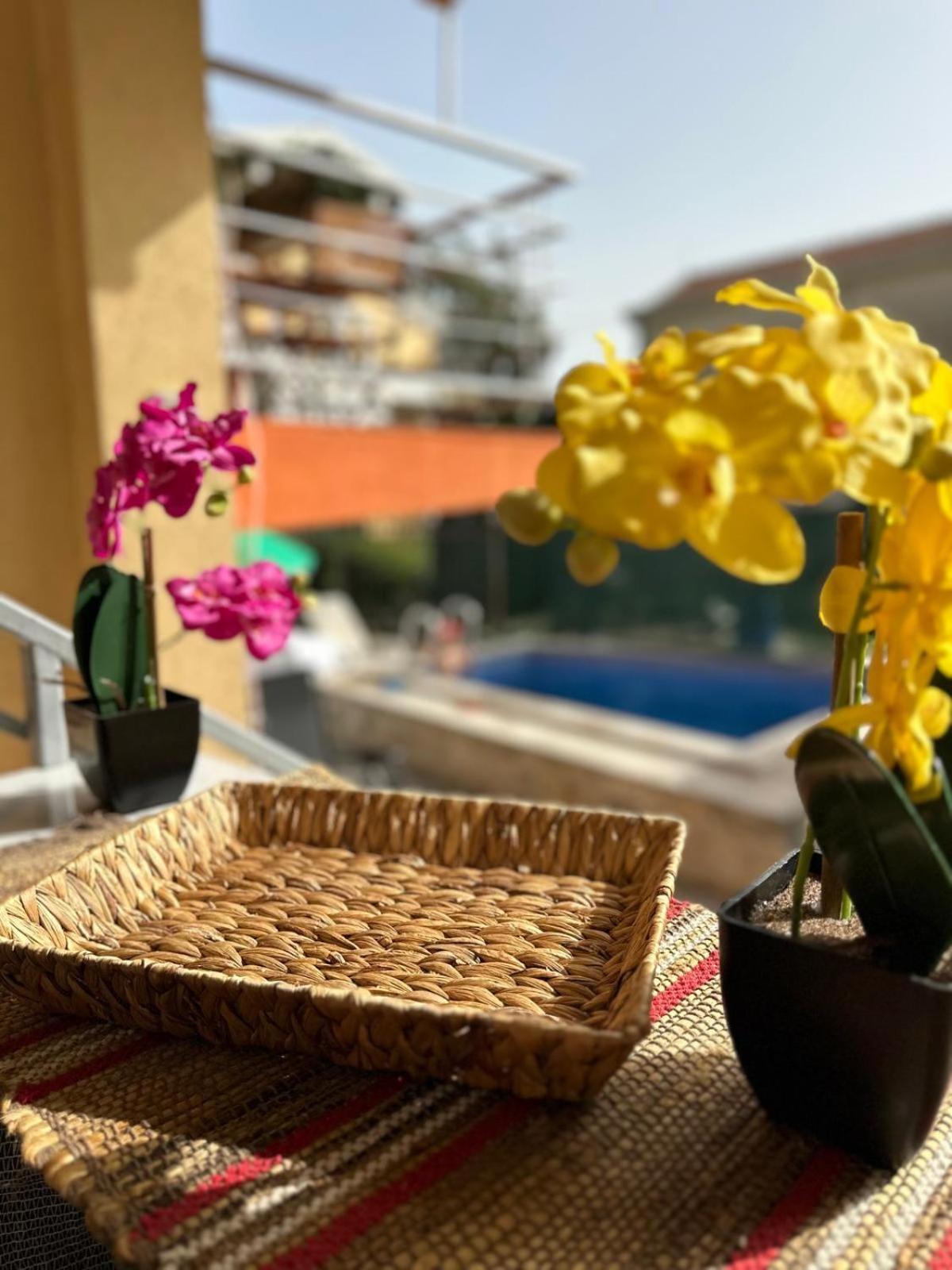 Themis Apart Hotel Kotor Zewnętrze zdjęcie