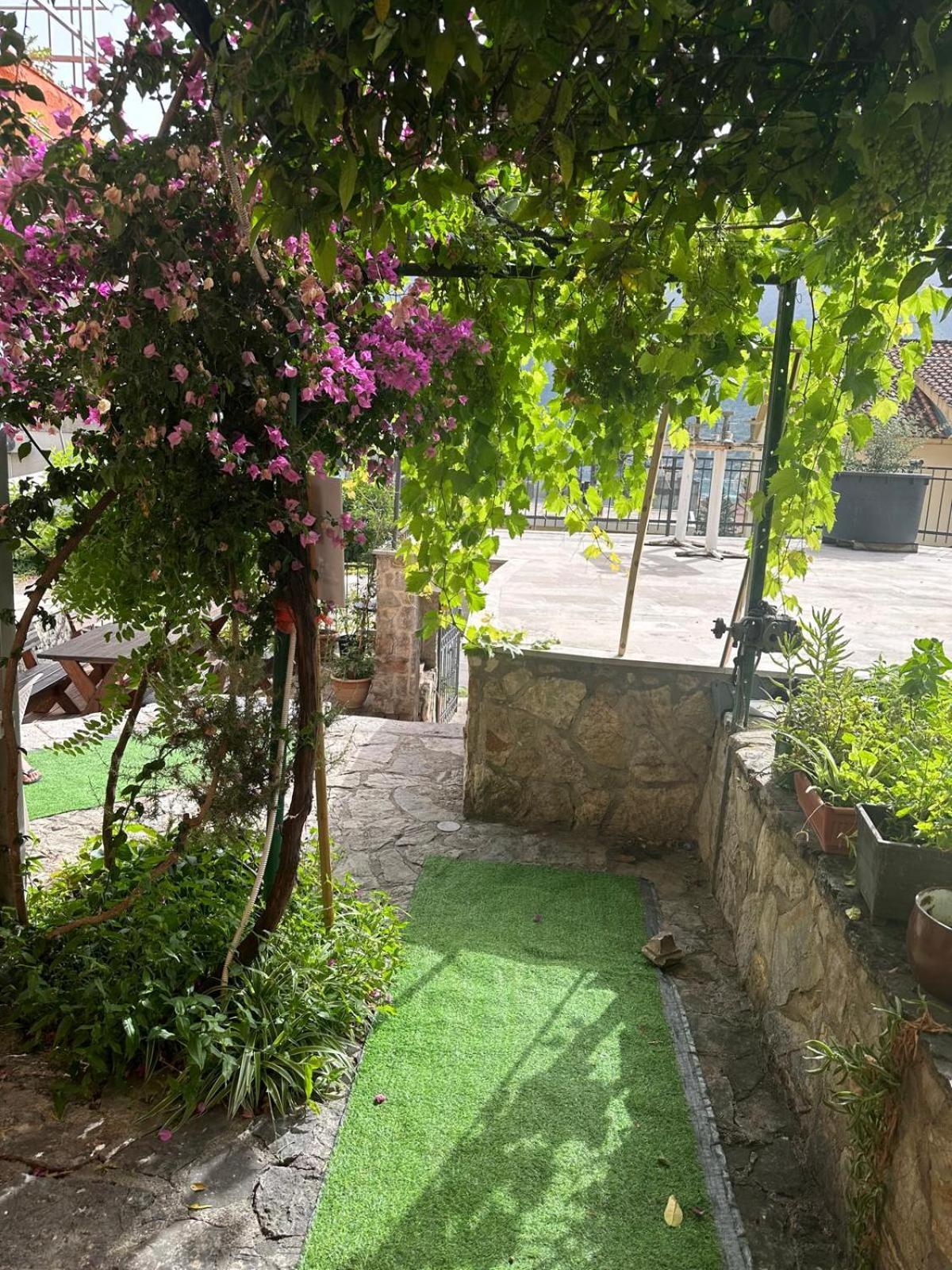 Themis Apart Hotel Kotor Zewnętrze zdjęcie