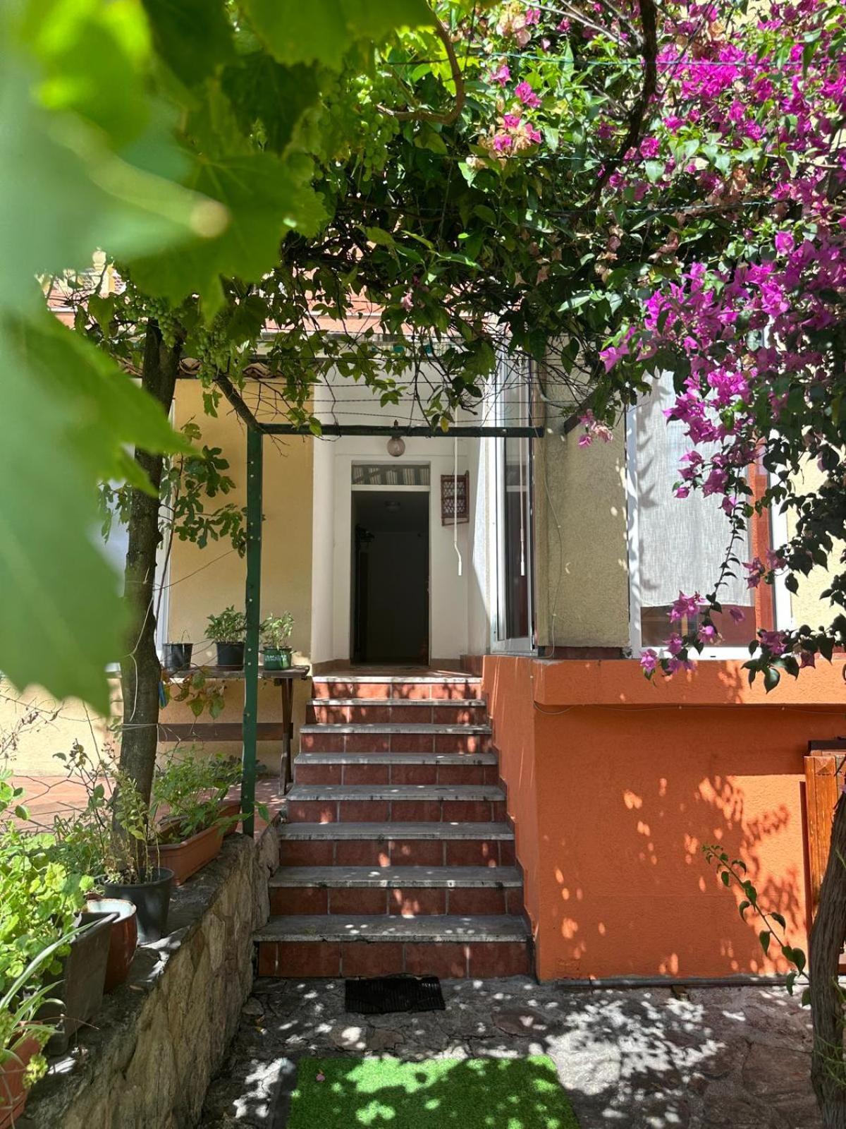 Themis Apart Hotel Kotor Zewnętrze zdjęcie